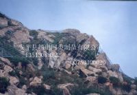 山体护坡防护网 拦石网 边坡防护网