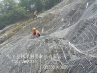 SNS边坡防护网 被动边坡防护网  拦石网