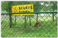 供应养殖用网