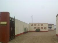 安平胜威网栏