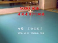 舞蹈运动地板，舞蹈运动塑胶地胶