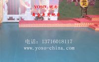 PVC舞蹈塑胶地胶,PVC舞蹈专用地板