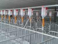 建设现代(工厂)化猪场养猪喂料线必须遵循的几项原则